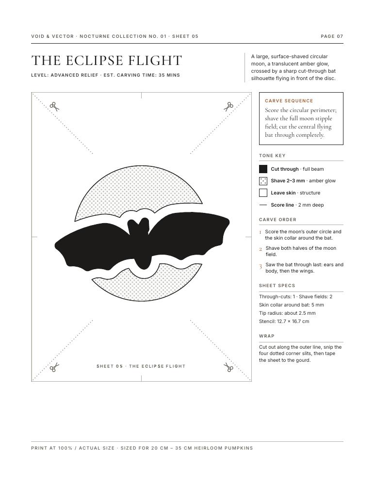 The Eclipse Flight