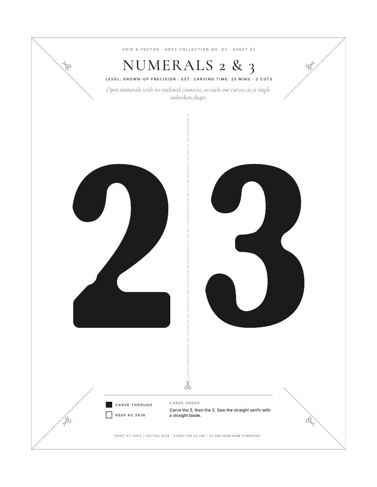 Numerals 2 & 3